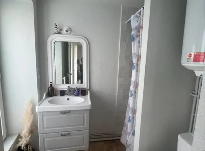 Overlooking The Notre Dame Cathedral شقة